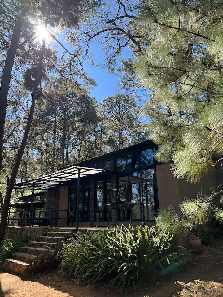 Cabaña Bosque Viejo 2 - foto 1