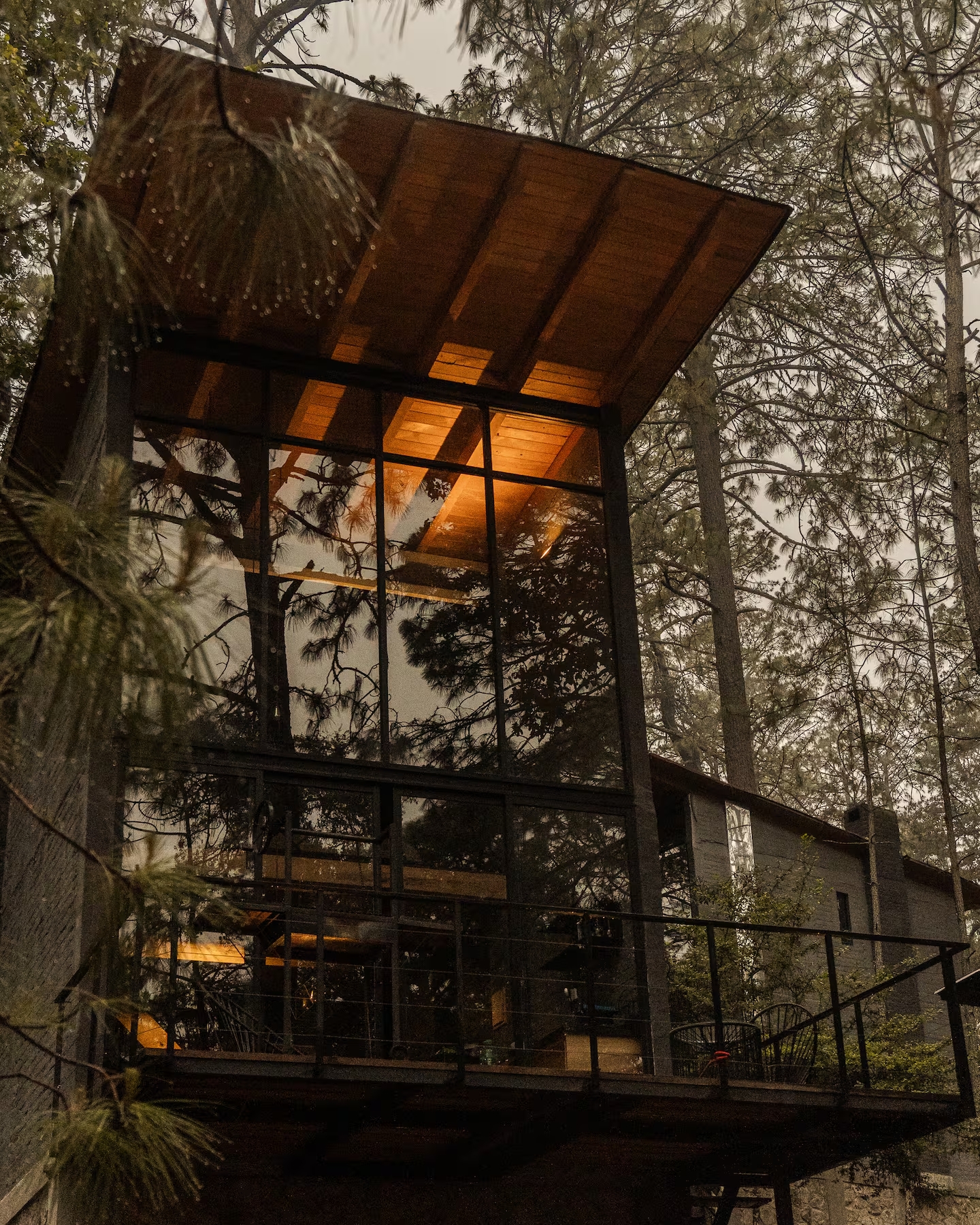 Cabaña Bosque Viejo 5 - foto 1