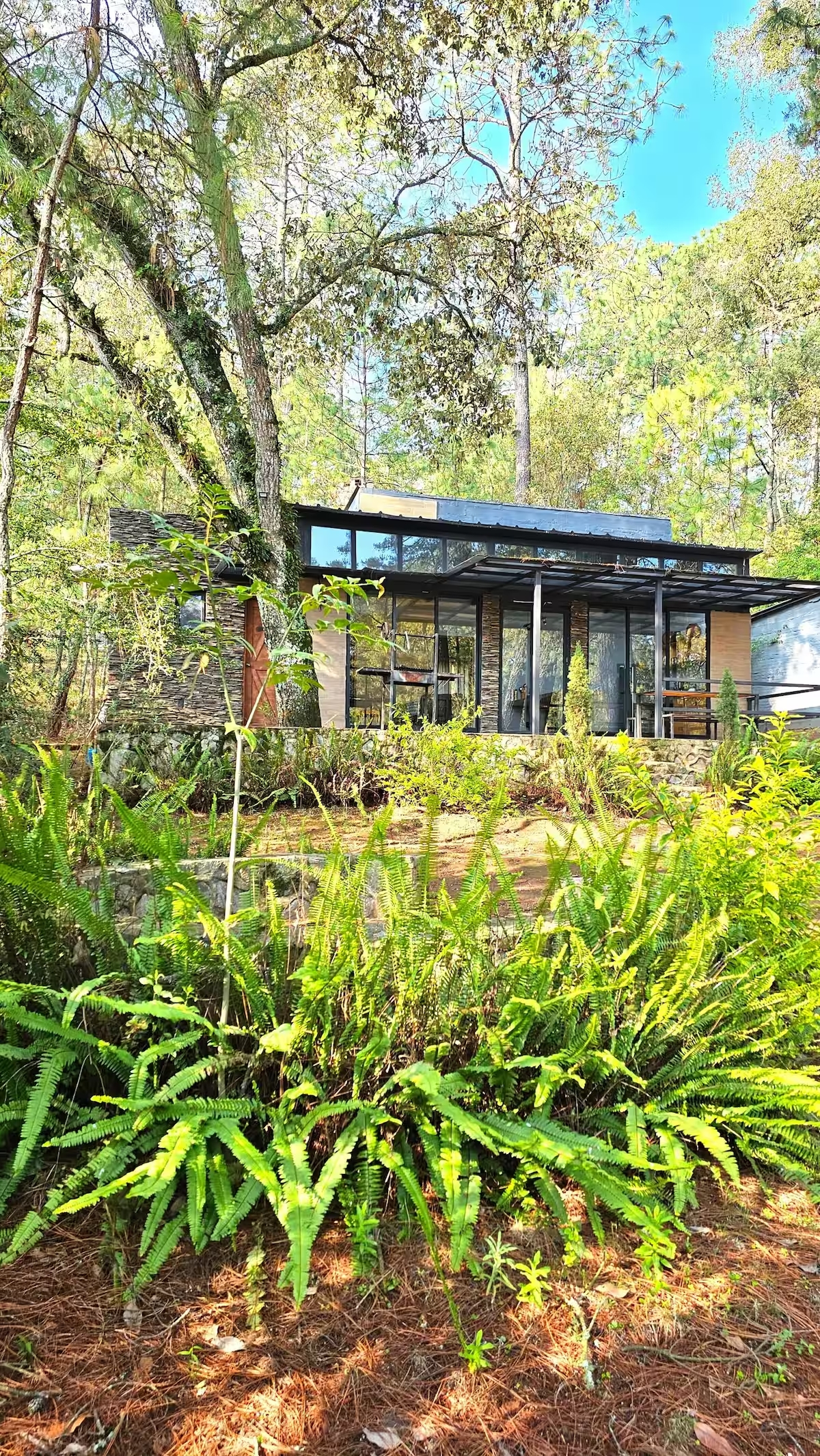 Cabaña Bosque Viejo 3 - foto 1